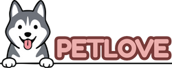 Husky Pet Love