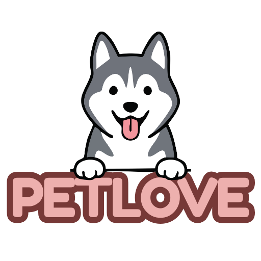 Husky Pet Love