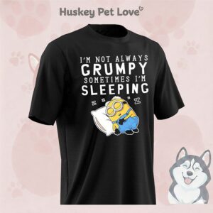 Minion I’m Not Always Grumpy Sometimes I’m Sleeping T-Shirt